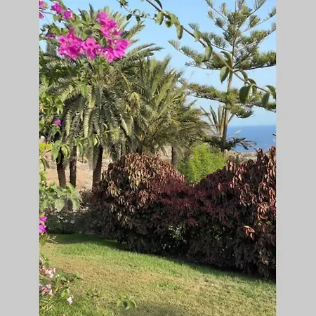 Bungalow De Luxe Marazul * 卡亚俄萨尔瓦赫